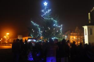 Zahájení adventu - rozsvícený strom